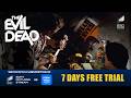 A Secret Hideout With Strange Items | The Evil Dead (1983)