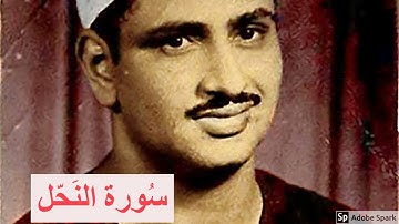 لايك للفيديو حتى تساهم فى نشرة تلاوة خيالية لسورة النحل من مسجد الحسين  -   2019   surah alnahl