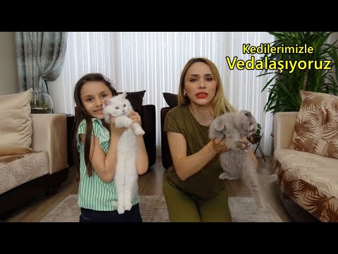 Kedilerimiz İle Vedalaşıyoruz | Lina Çok Üzüldü! Ağladı!