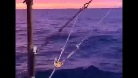 تلاوة مؤثرة لسورة الفجر. القاريء عبد المنعم عبد المبديء