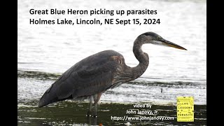 GBH 091524