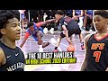 The 10 BEST Ankle Breakers & Ball HANDLERS In High School 2020 Edition! Sharife, Dior, Zion & More