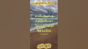 🌺القرآن الكريم 🌺ما تيسر من سورة الأحزاب
