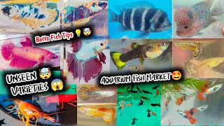 Ankurhati Fish Pet Market | Ankurhati Pet Market New Video | Aquarium Fish Price Update | Pet Market