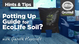 Potting Up Guide For Ecolife Soil Hints Tips