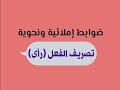 تصريف الفعل رأى تصريف الفعل رأى