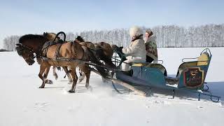 СТИХОТВОРЕНИЕ: КАК ДОЛГО Я ЖДАЛА ОТВЕТА.... АВТОР ЛОРА ОБОЛЕНСКАЯ