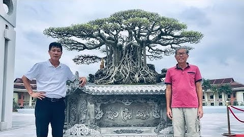 Toàn cây cảnh tiền tỷ tụ hội tại triển lãm Bắc Ninh năm 2020