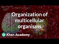 The Intricacies of Life at the Cellular Level