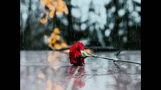 Ferdi Tayfur - Arayacaksın