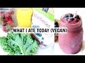 What I Ate Today (VEGAN)!