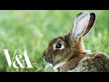 Experience Beatrix Potter's Lake District | V&A