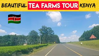 Drive Through the Beautiful Tea Farms in Kenya//EKONGE -SOTIK Raod