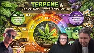 Why tobacco ruins your cannabis – vaporizers, herbs & the truth about addiction