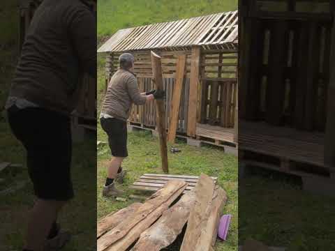 Building a cabin from pallets #shorts