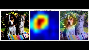 Gradient based localization |  Grad-CAM | Inception-ResNet |  XceptionNet
