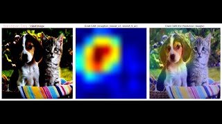 Gradient Based Localization Grad-Cam Inception-Resnet Xceptionnet