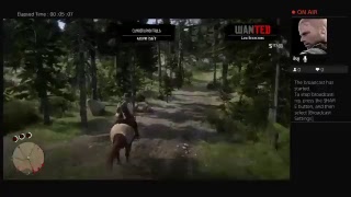 Story red dead 2