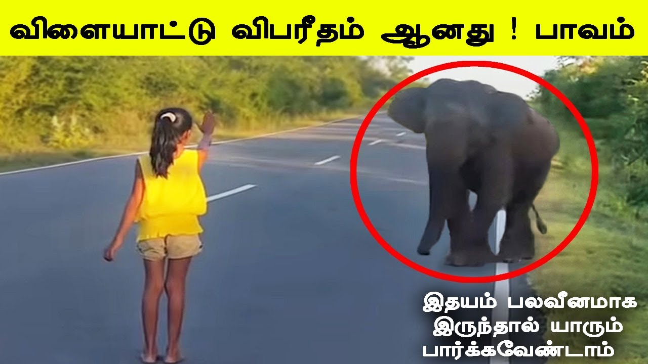கேமராவில் பதிவான 5 அதிர்ச்சி காட்சிகள் ! மனதை பதறவைக்கும் நிகழ்வுகள் #tamilfacts #tamilvideo