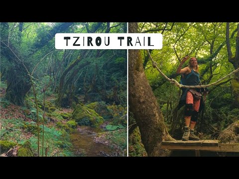 AMAZING Recreation Forest