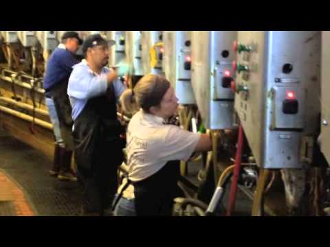 Ruann And Maddox Dairy Home Facebook