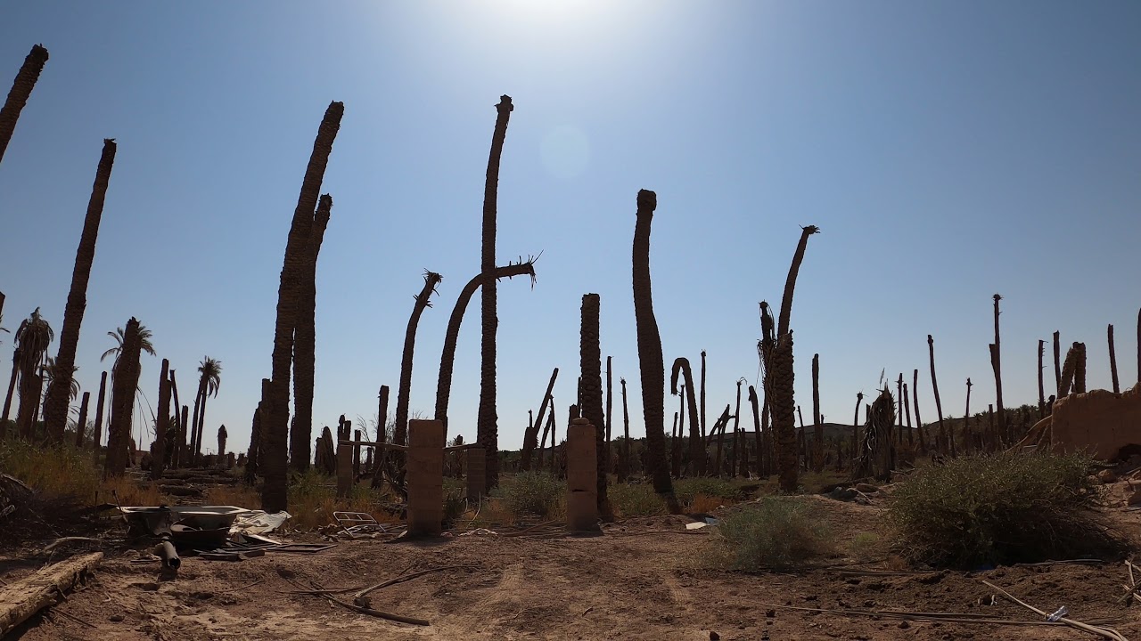 قرية طابة التراثية في منطقة حائل