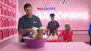 PetSmart - Anything for Pets Services :30