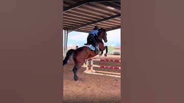 Jumping vids from peri_eq ❤️😝 #horse #equestrian #barrelracing #showjumping #slowmotion 