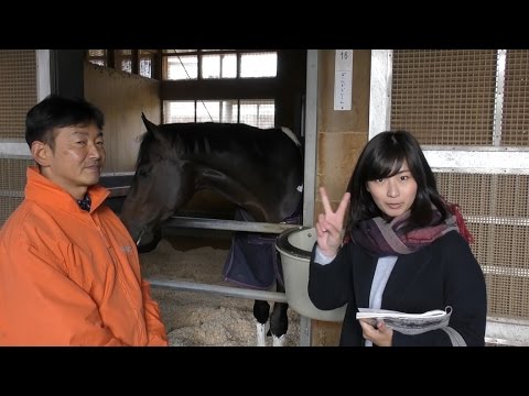 チャンピオンズｃ 競馬界の女神がゴールドドリーム 平田修調教師を直撃 Youtube