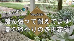 Z8xhrxosf8ad5m