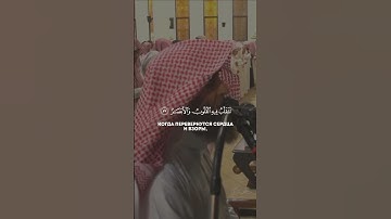 سورة النور الآية 37 والآية 38