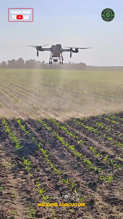 Best Agriculture Spray Drone