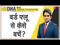 DNA: वायरस की चिड़िया की DNA Test | Sudhir Chaudhary | Bird Flu | Analysis | Virus | Coronavirus