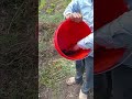 مستحيل تصدق السمك ده بيطلع منين  صيدبالتوفيق في الفيديو
