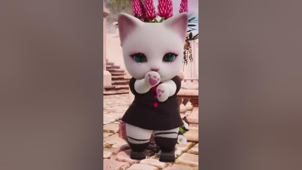 JISOO FLOWER | Cat Dancing