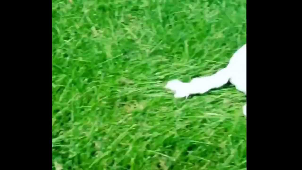 Exploring the school I'm teaching at this year. Prunetucky!