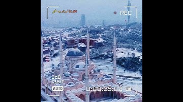 القارئ نورالدين سليم