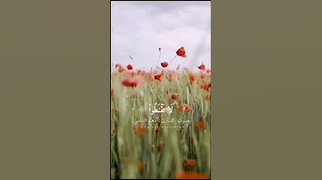 سورة الزمر -الآية 53