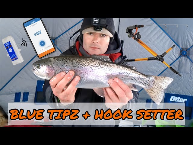 AUTO HOOK SETTER + BLUE TIPZ Mobile Alarm to Catch TROUT! 