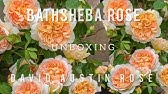 How To Pronounce Bathsheba - Youtube