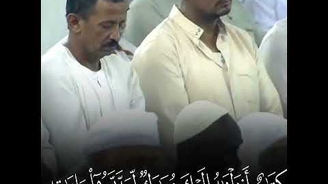 ياسر الدوسري سورة ص (وما خلقنا السموات والأرض وما بينهما باطلا)
