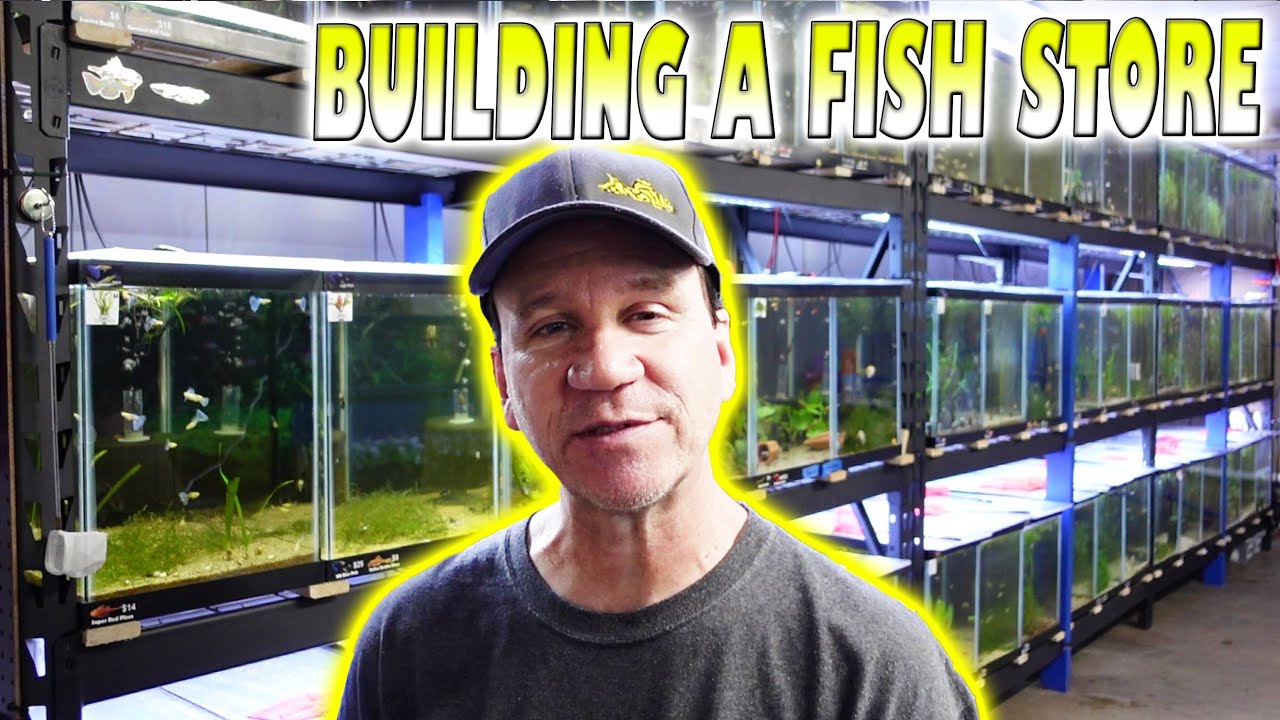 Building a Local Fish Store: Adding more stuff and fish 