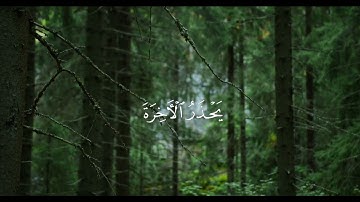 القارئ الشيخ أحمد بن طالب سورة الزمر