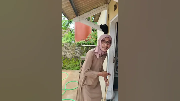 Video 11833441: cat bathing funny