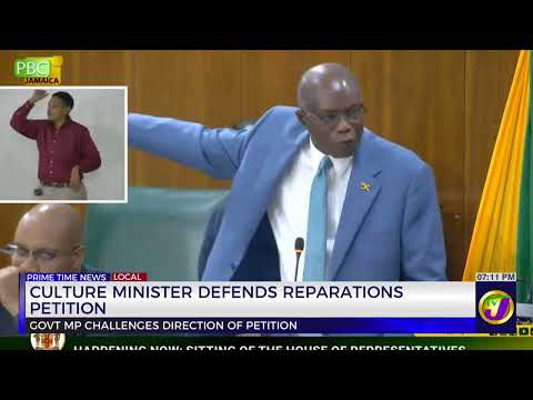 Culture Minister Defends Reparations Petition | TVJ News