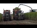 Claas - Fendt - Hawe - Cat - + / Maissilage - Silaging Maize  2022  pt.1