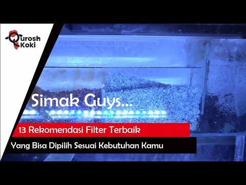 Video: Mana filter akuarium terbaik untuk dipilih?