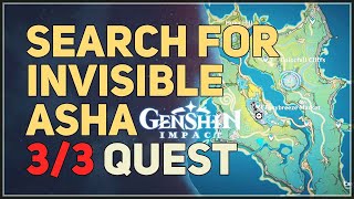 Search for invisible Asha Genshin Impact 3/3