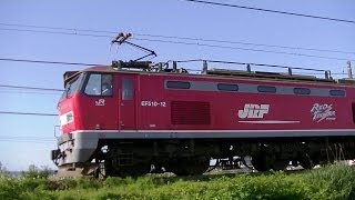 レッドサンダーEF510-12 大阪貨物ターミナル→新潟貨物ターミナル4059レ