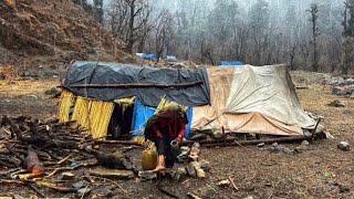 Best Life in A Himalayan Shepherds During the Snowfall | Most Peaceful And Relaxing Shepherd Life |